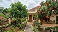 8 Pohon Buah yang Subur dengan Mulsa Organik, Cara Alami Meningkatkan Panen