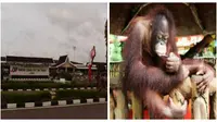 Menhub Belum Tentu  Izinkan Keberadaan Bandara Kebun Binatang
