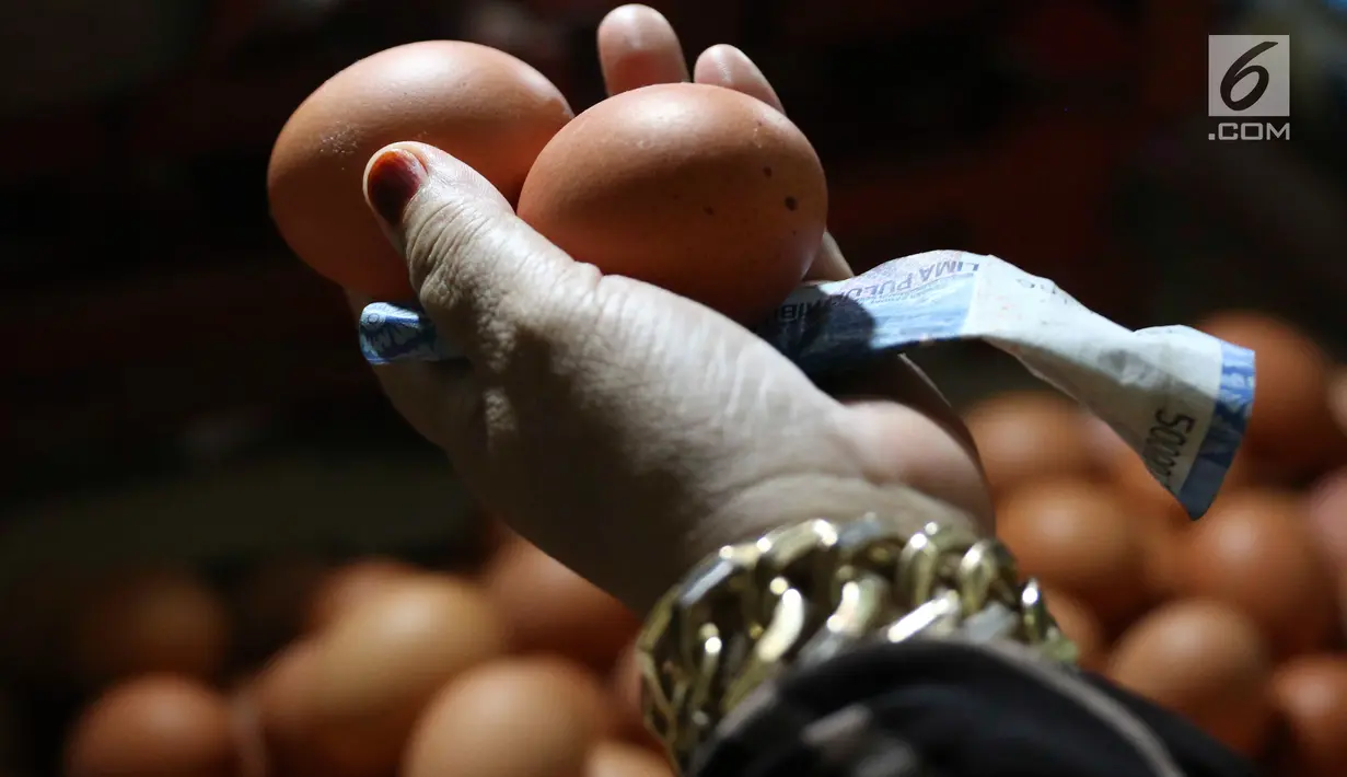 Pembeli memilih telur ayam di pasar tradisional di Jakarta, Kamis (6/12). Harga telur ayam ras di pasar tradisional di DKI Jakarta mengalami tren kenaikan sejak bulan lalu. (Liputan6.com/Immanuel Antonius)
