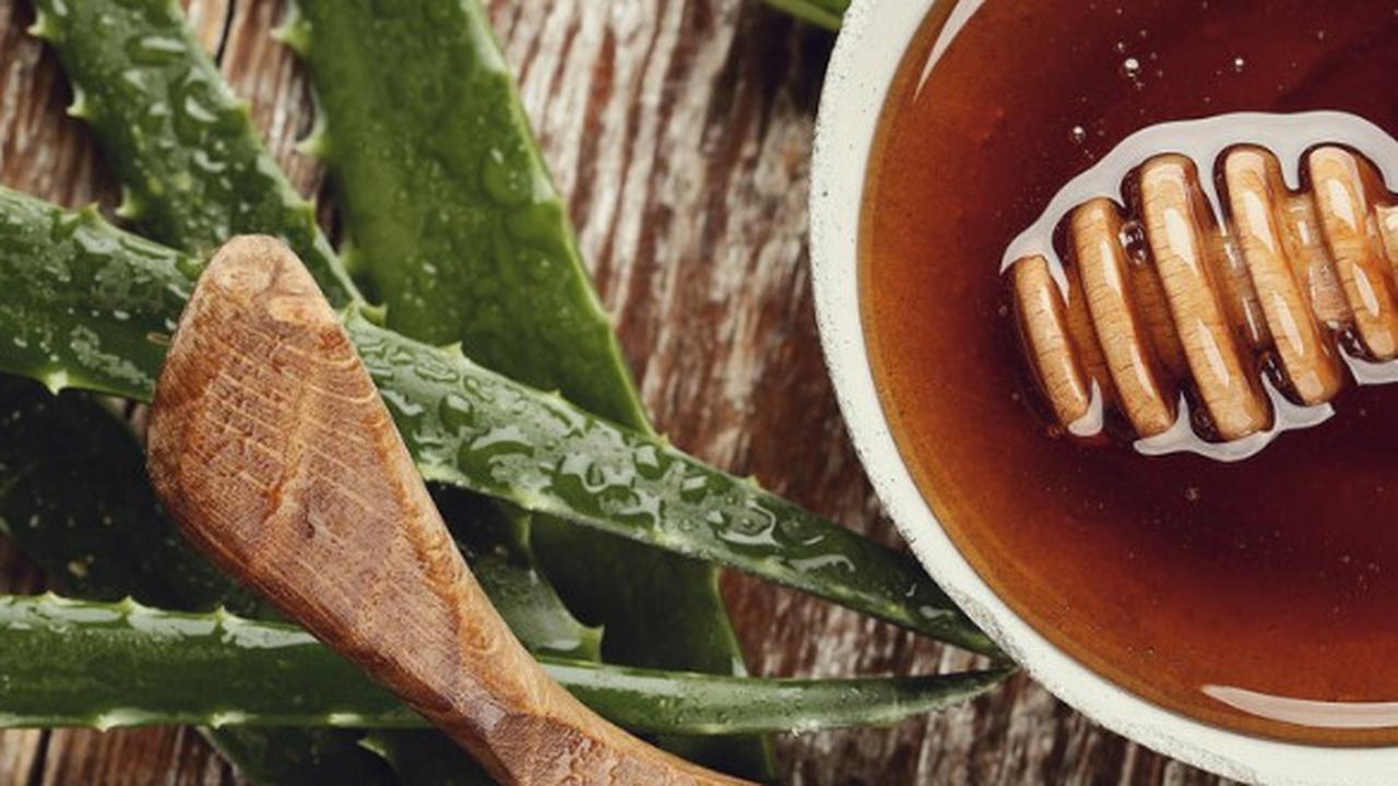 Rahasia Hilangkan Pahit Lidah Buaya dan Resep Lezat yang Bikin Nagih!