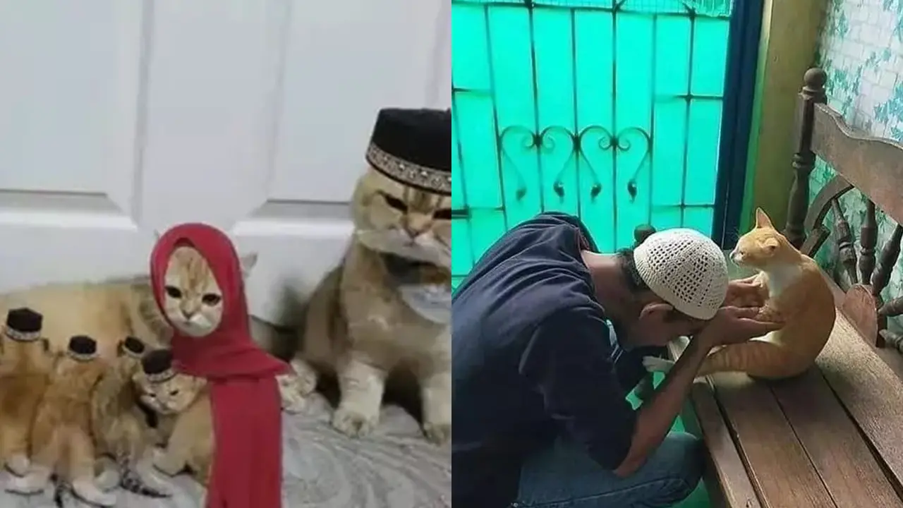 Kucing ikut Lebaran