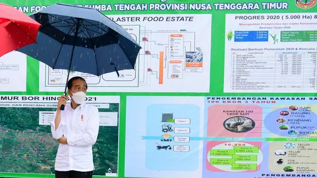 Presiden Jokowi saat meninjau kawasan food estate di Kabupaten Sumba Tengah, NTT.