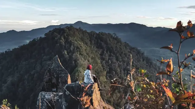 Pemandangan di Gunung Wayang Pandeglang Bandung. (Dok: Instagram @cipoooohhhh&nbsp; https://www.instagram.com/p/CEBHO7mAcoS/?igsh=cHJlNjg4MjdidXpy)