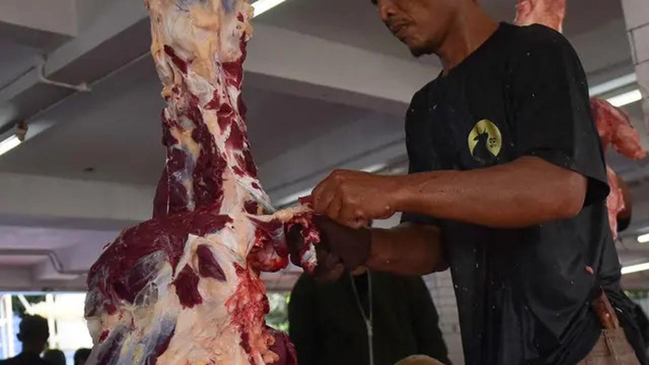 Kolesterol Tinggi vs Asam Urat: Siapa yang Paling Rentan Saat Menyantap Daging Kurban Idul Adha 2025?