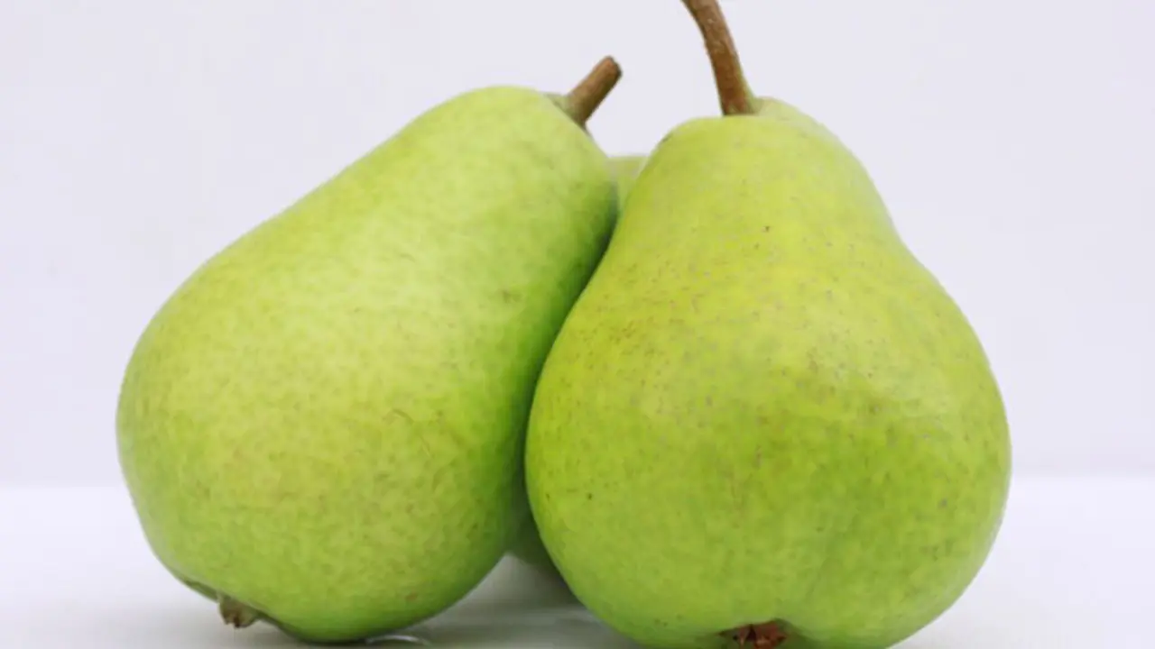 Buah pear Australia