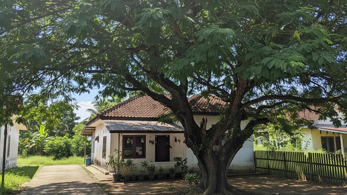 Daun Tidak Bergerak Saat Sholat Ied, Fenomena Alam atau Tanda Alam Semesta Bertasbih?