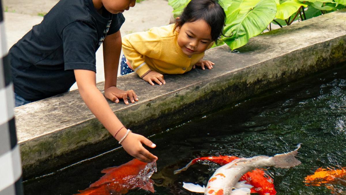 7 Rekomendasi Aktivitas Gratis di Ubud Bali Bersama Anak-Anak, Liburan Hemat yang Seru