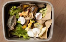 12 Cara Menghilangkan Bau Sampah Dapur Meski Belum Dibuang agar Dapur Tetap Nyaman