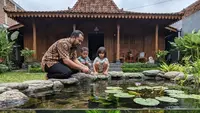 15 Jenis Ikan Hias yang Tahan Suhu Dingin untuk Akuarium dan Kolam, Mudah Dipelihara