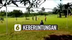 Ini ajarkan kita untuk jangan mudah pesimis.