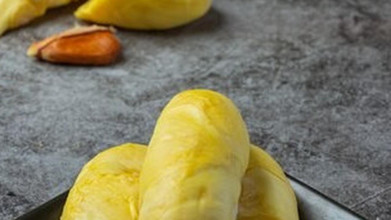 Dengan memahami dampak dan cara mengatasi mabuk durian, Anda dapat tetap menikmati buah ini tanpa mengorbankan kesehatan. Tetap bijak dalam konsumsi durian dan perhatikan kondisi kesehatan pribadi Anda.