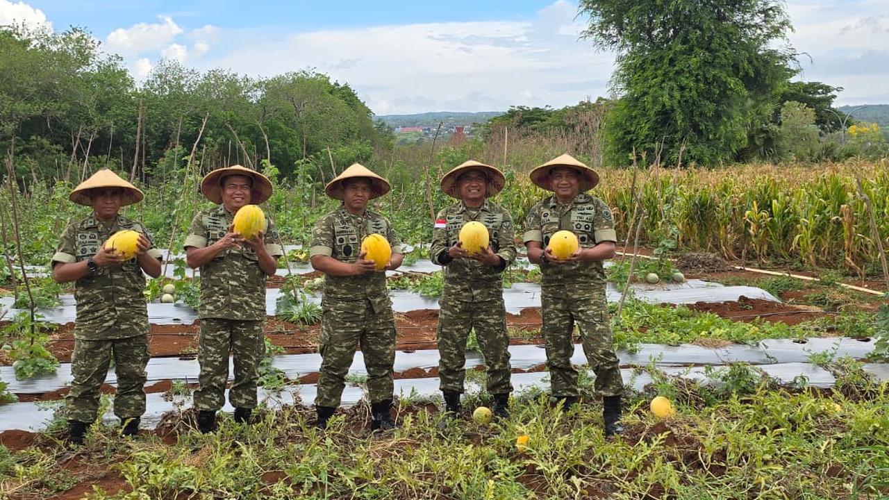 FOTO: TNI AU Dorong Kemandirian Pangan Lewat Panen Raya Jagung dan Semangka di Lanud El Tari Kupang