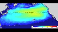 AS Waspadai Dampak Kebocoran Radioaktif Fukushima