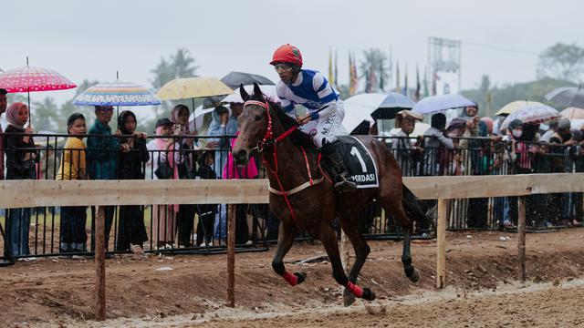 Indonesia's Horse Racing (IHR) Cup II 2025 sukses digelar di Payakumbuh, Sumatra Barat, pada Minggu (28/9/2025).