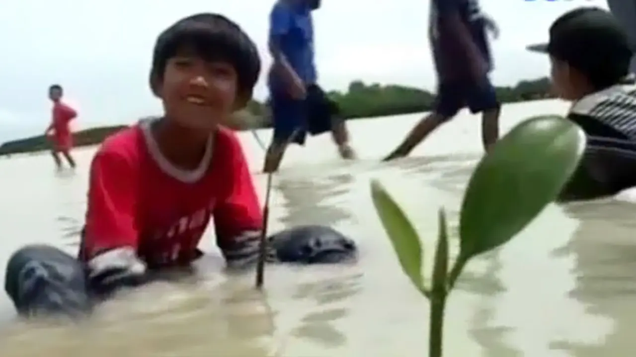 Wisata Pulau pari - Liputan6 Pagi