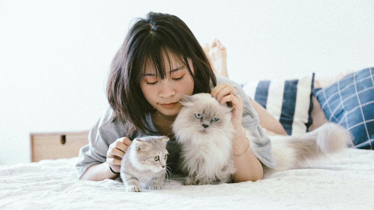Animal Communicator Adalah Seseorang yang Miliki Kemampuan Berbicara dengan Hewan, Berikut Penjelasannya
