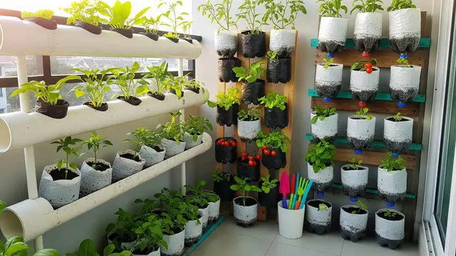 Model Kebun Sayur Polybag Murah untuk Ibu Rumah Tangga/Gemini AI