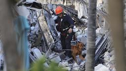 Petugas damkar bersama anjing melakukan pencarian dan penyelamatan di antara reruntuhan gedung kondominium "Champlain Towers South Condo" di Surfside, Miami, Kamis (24/6/2021). Upaya pencarian terhadap korban di reruntuhan apartemen yang roboh terus dilakukan. (David Santiago/Miami Herald via AP)
