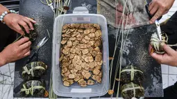 Sejumlah peternak kepiting mengikat dan memasang label pada kepiting di sebuah pusat pembudidayaan di Distrik Wuxing di Huzhou, Provinsi Zhejiang, China, 23 September 2020. Pusat pembudidayaan kepiting seluas sekitar 933 hektare di Wuxing tersebut baru-baru ini memasuki musim panen. (Xinhua/Xu Yu)