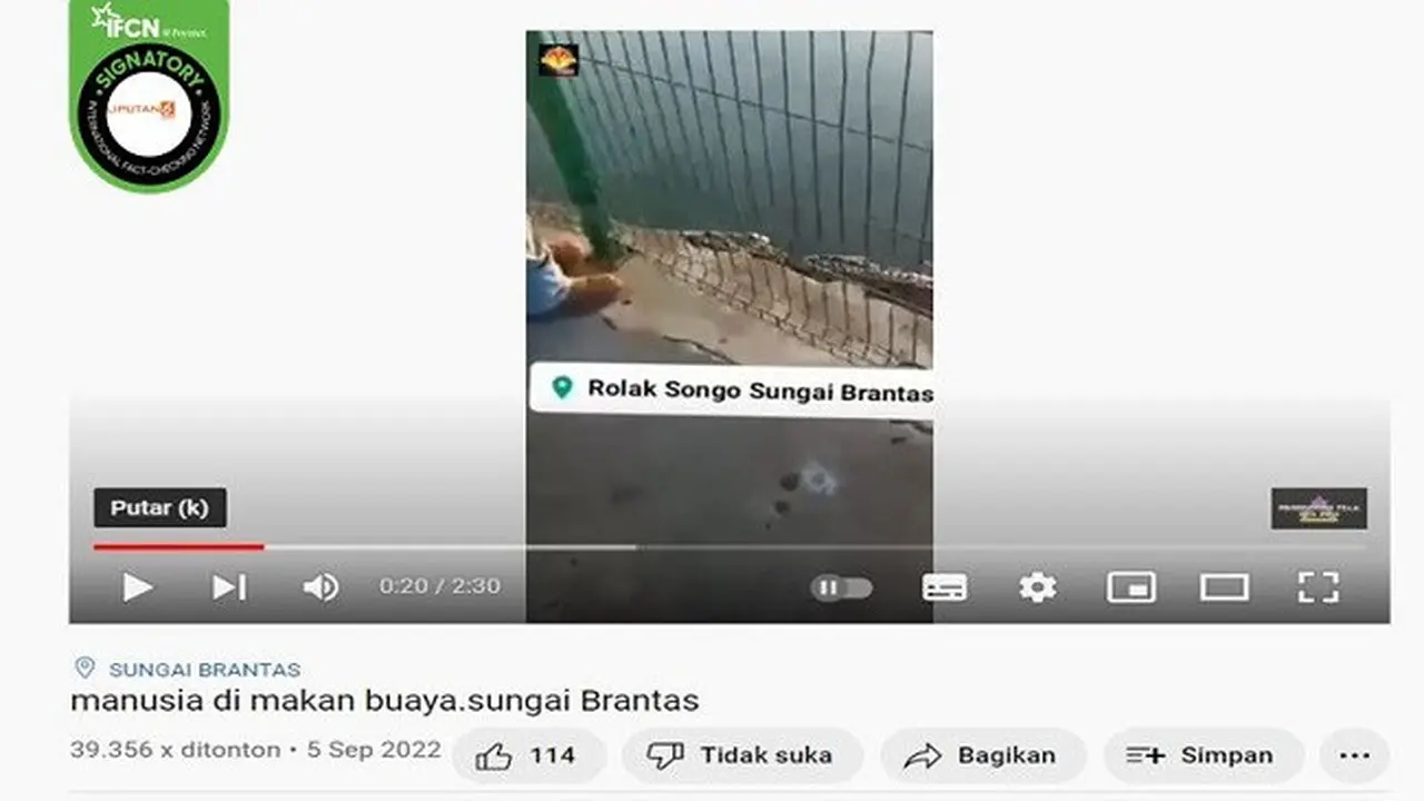Gambar Tangkapan Layar Video yang Diklaim Seekor Buaya Memangsa Manusia di Sungai Brantas (sumber: YouTube).