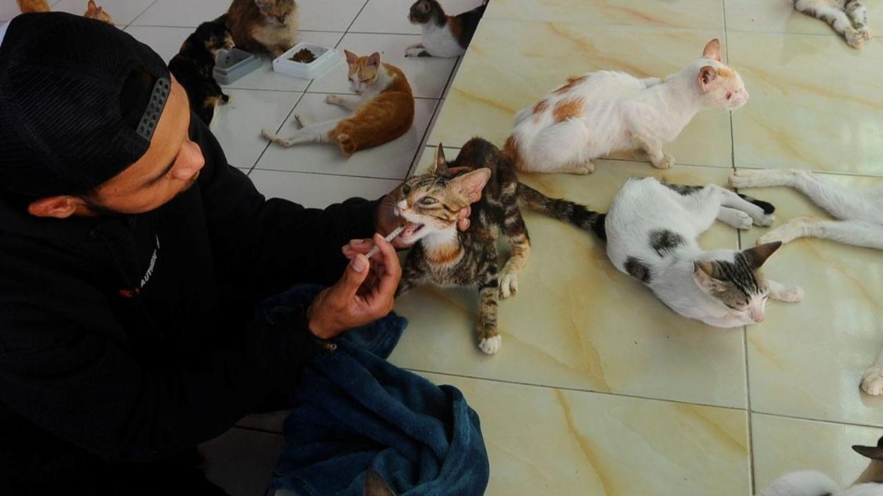 Setiap bulannya, Rumah Singgah Clow (RSC) harus mengeluarkan biaya perawatan dan pemeliharaan yang tak sedikit yakni mencapai Rp90 juta.
