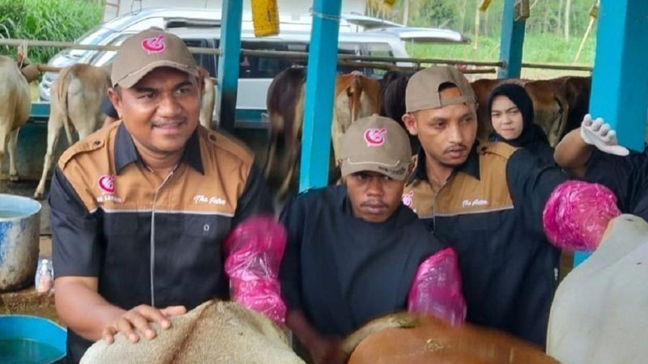 Gerakan Senator Inseminator DPD RI Dorong Percepatan Swasembada Daging dan Susu Nasional