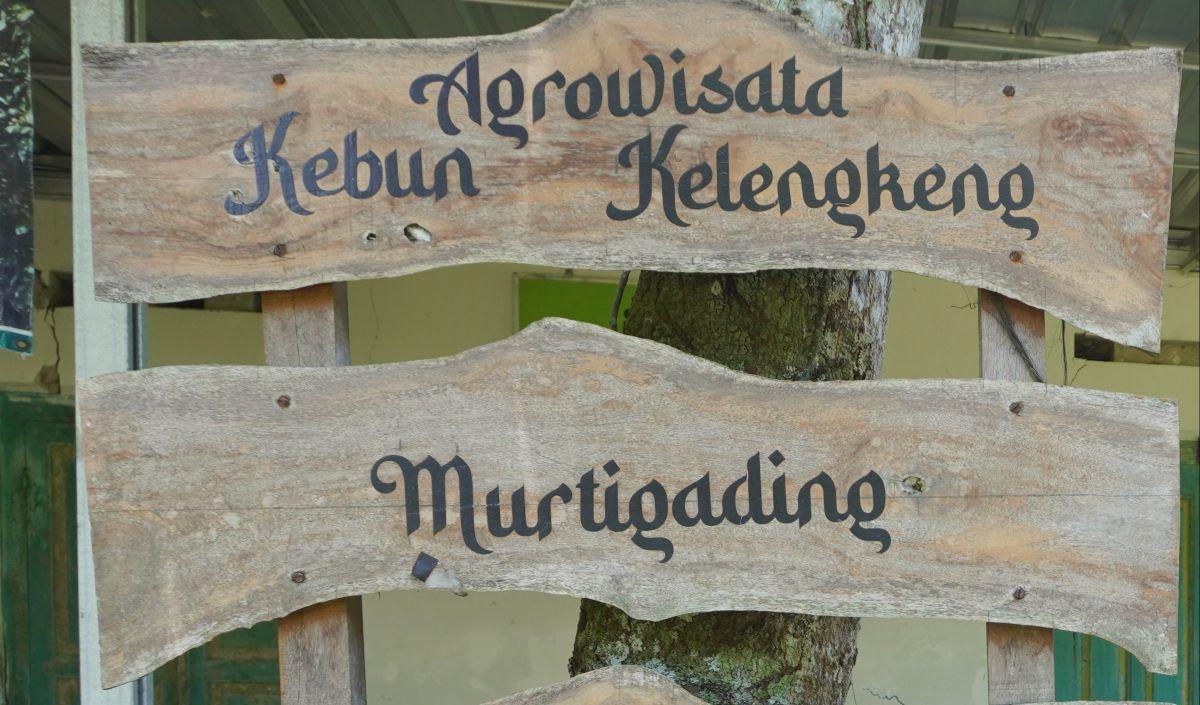 Ingin Kampungnya Bernilai