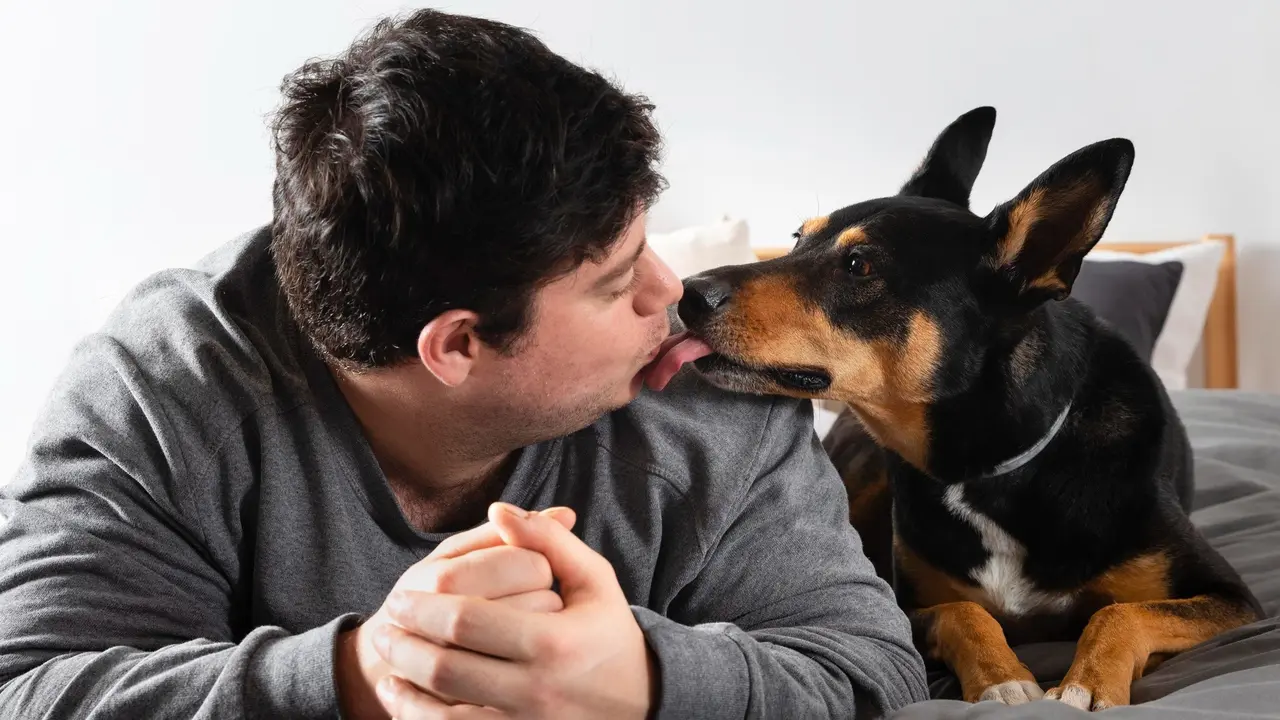 Dog Kiss