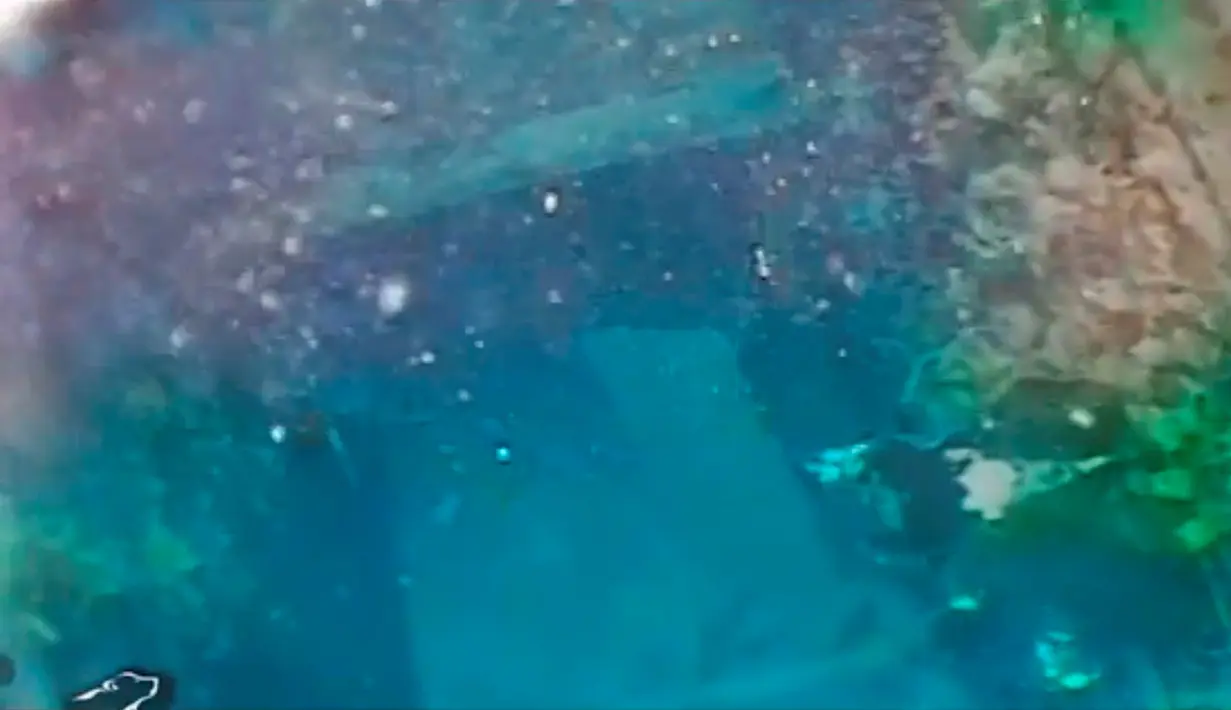 Puing HMS Terror  yang ditemukan oleh Arctic Research Foundation di perairan Teluk Teror, sekitar pantai Pulau King William, Kanada (3/9). Kapal perang Inggris ini hilang sejak 171 tahun silam. (Courtesy Arctic Research Foundation/Handout via REUTERS)