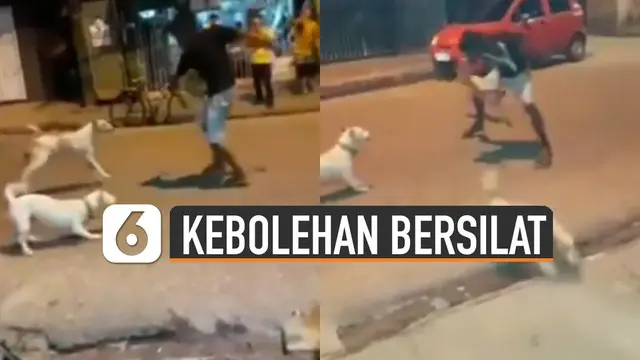 Pria itu langsung mengeluarkan jurus silatnya di depan anjing-anjing tersebut.