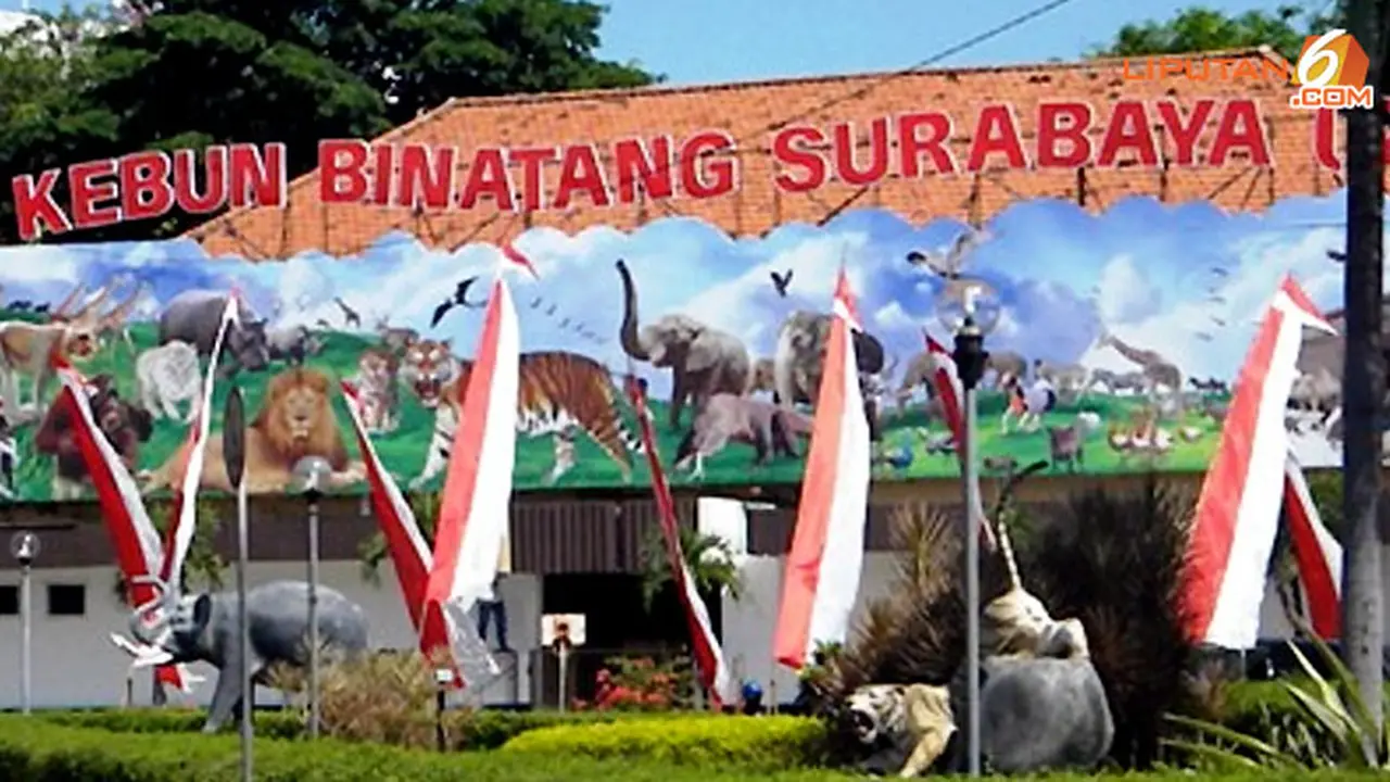 kbs-surabaya-zoo-140109c.jpg