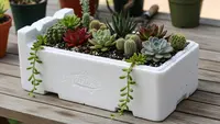 Styrofoam Bekas Makanan Bisa Buat Apa? Ini Ide Kreatif dan Bermanfaat di Rumah