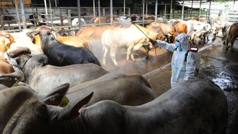 PMK Hewan Ternak Pengaruhi Harga Daging Sapi di Tangerang