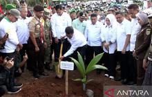 Mentan Amran Sulaiman Luncurkan Gerakan Menanam Lima Juta Kelapa di Selayar, Targetkan Rp4.800 Triliun