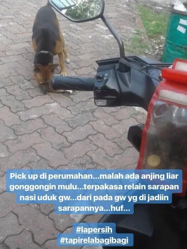 Lucu tapi Kasihan, 6 Curhat Lucu Driver Ojek OnlineTakut Anjing