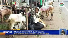 Fokus edisi (04/6) mengangkat beberapa topik pilihan sebagai berikut, Pasien Telantar Buntut Dokter Mogok Kerja, Pergerakan Calon Haji Menuju Arafah, Beli Hewan Kurban Dapat Logam Mulia, Puskesmas Diterjang Longsor.