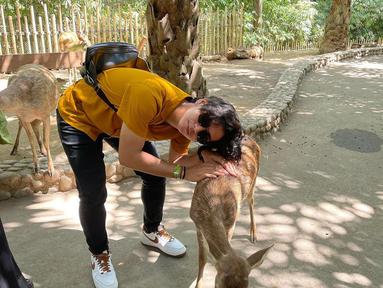 Saat bertemu dengan rusa, Ajil Ditto tak memberinya makanan. Tapi ia memeluknya saat rusa tersebut asyik makan. (Foto: Instagram/@ajil_ditto08)