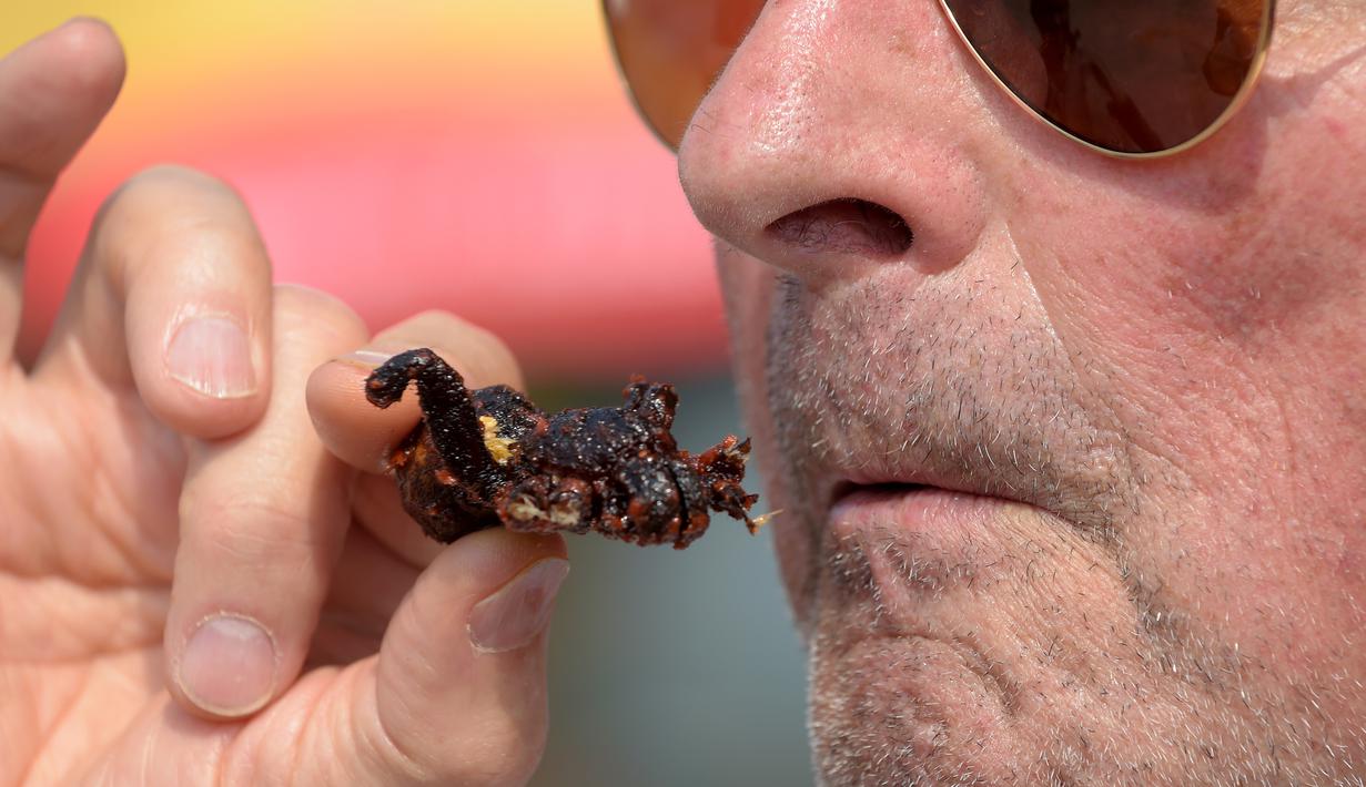 Seorang turis mencicipi camilan tarantula goreng di wilayah Skun, Provinsi Kampong Cham, Kamboja, 14 Maret 2018. Keberadaannya tarantula dikhawatirkan akan lenyap mengingat penebangan hutan dan perburuan yang tak terkendali. (TANG CHHIN Sothy / AFP)