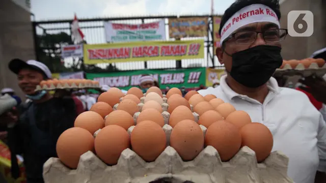 Tuntut Kenaikan Harga Telur, Peternak Ayam Demo di Gedung DPR