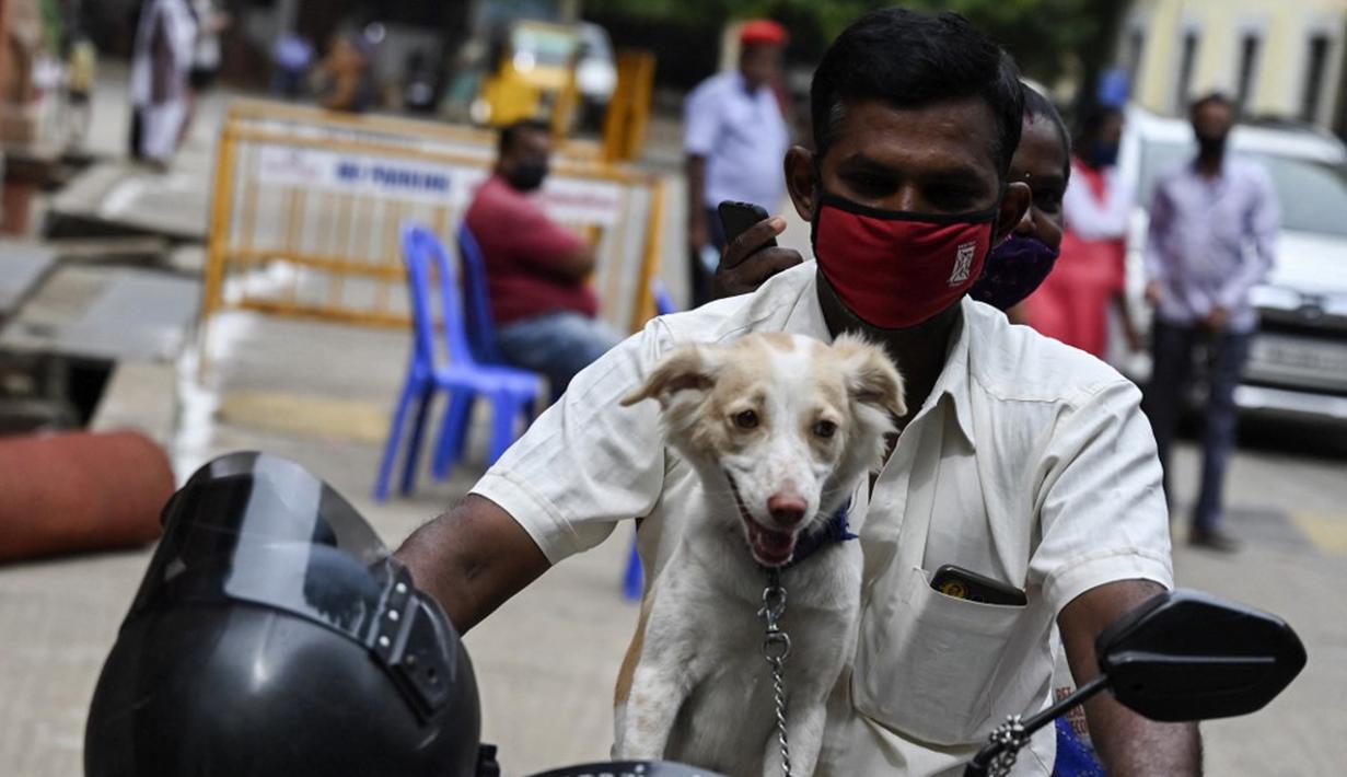 Seorang pria tiba dengan sepeda motor untuk menyuntik anjing peliharaannya dengan dosis vaksin antirabies pada kesempatan Hari Rabies Sedunia di Rumah Sakit Universitas Hewan Tamil Nadu, Chennai, Rabu (29/9/2021). Hari Rabies Sedunia diselenggarakan pada 28 September. (Arun SANKAR/AFP)