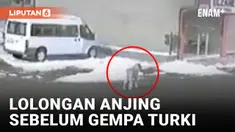 Viral! Anjing Melolong Sebelum Gempa Turki, Pertanda?