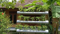 7 Model Rak Cabai Gantung dari Barang Bekas, Kreatif dan Hemat