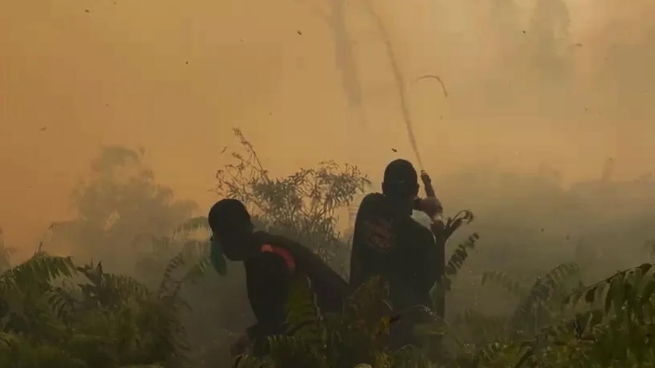Sejumlah persiapan untuk water bombing pun mulai dilakukan Selasa ini. Mulai dari survei lokasi pendaratan helikopter, lokasi pengambilan air di Telaga Sarangan hingga menentukan titik lokasi karhutla yang jadi target pemadaman.<br>