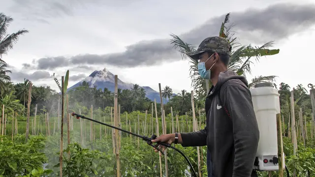 Gunung Merapi Erupsi, Warga Sleman Diungsikan