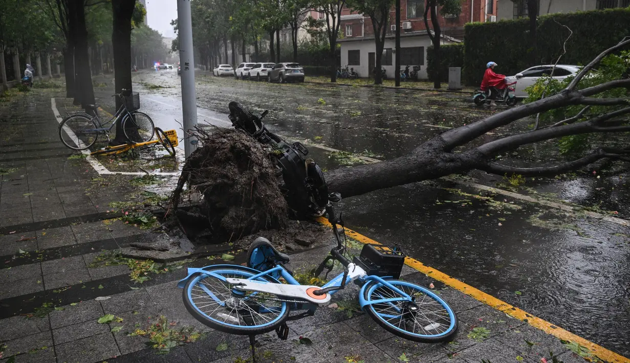 Media pemerintah setempat melaporkan, sejumlah penerbangan dibatalkan dan jalan raya ditutup ketika Topan Bebinca menghantam kota Shanghai disertai angin kencang dan hujan lebat. (Hector RETAMAL/AFP)