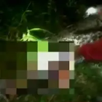 Tubuh petani lengkap dengan pakaiananya tewas di dalam perut ular piton. (Liputan 6 SCTV)