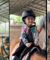 Tidak hanya orang tua yang gemar naik kuda, tapi anak-anak selebriti pun banyak yang suka. Salah satunya anak Margin Wieheerm dan Ali Syakieb yang diberi nama Guzelim Aracelli Ali Syakieb.  Bocah yang baru saja genap satu tahun itu bahkan tak mau turun dari kuda. [Instagram/marginw]