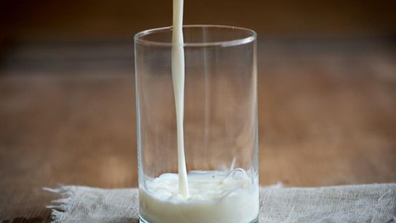 Kandungan Nutrisi