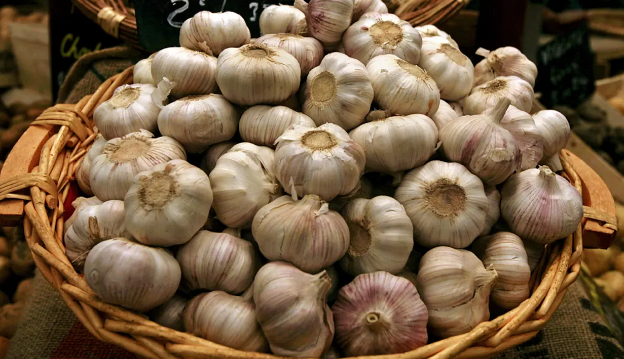 Bawang putih menyebabkan bau mulut dan juga bau badan saat dicerna. Bawang putih akan menghasilkan gas sulfur yang diserap ke dalam aliran darah dan dikeluarkan oleh pori-pori melalui keringat. (Istimewa)