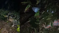 Detik-detik Motor Terjun ke Jurang 20 Meter di Lampung, 1 Orang Tewas